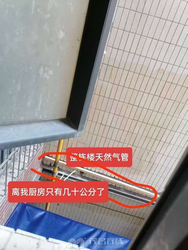 20250428111618front2_0_3383193_FuIhwwBQ3gMIuUqzEcdpNs2wKAFq.jpg