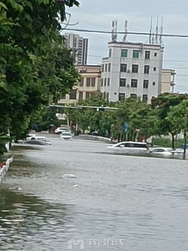 20250618102624front2_0_2952151_Fm-D2Rz-IqROVVdO1UsDzTGr_EwH.jpg