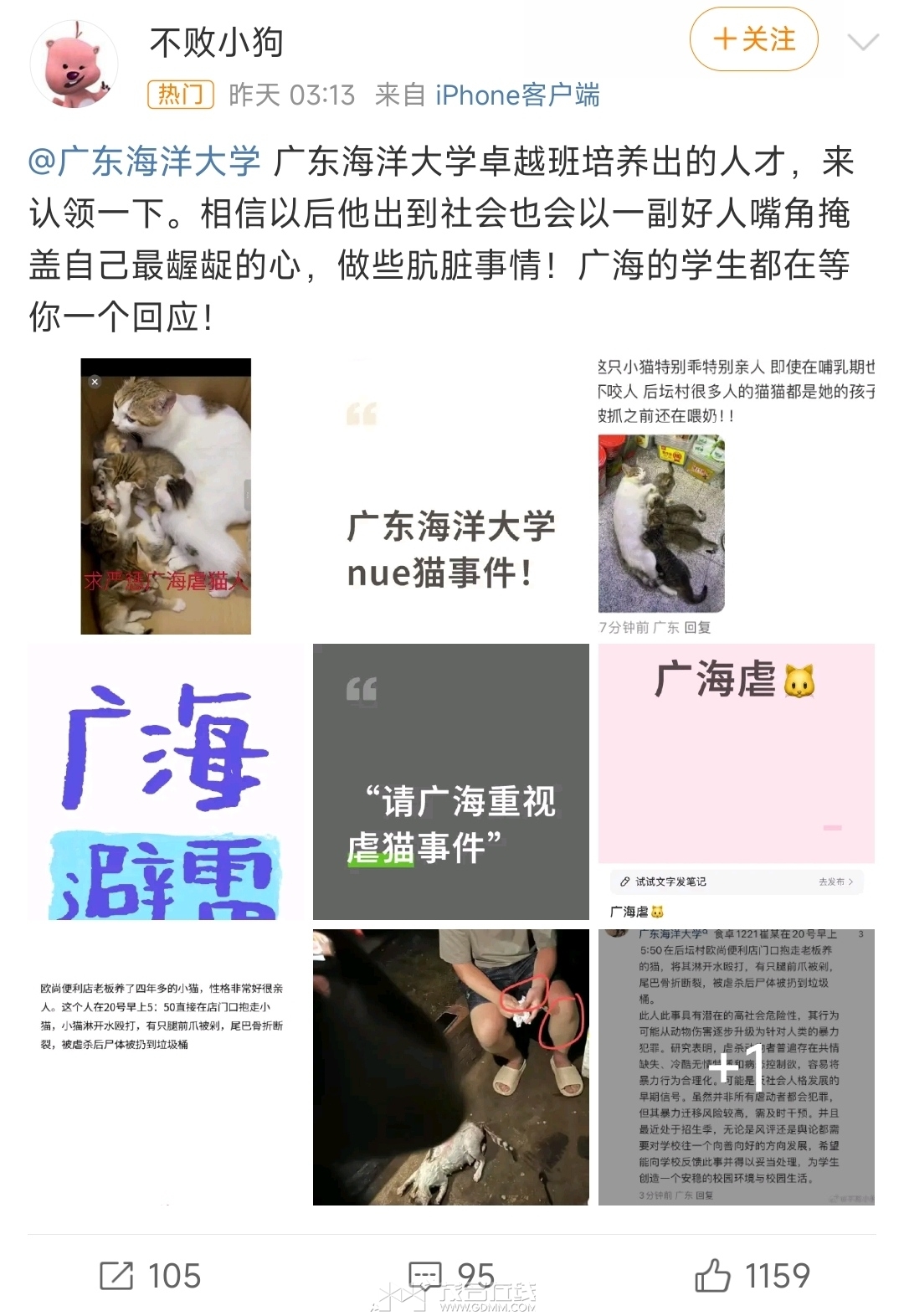 Screenshot_2025-06-22-17-53-03-185-edit_com.sina.weibo.jpg