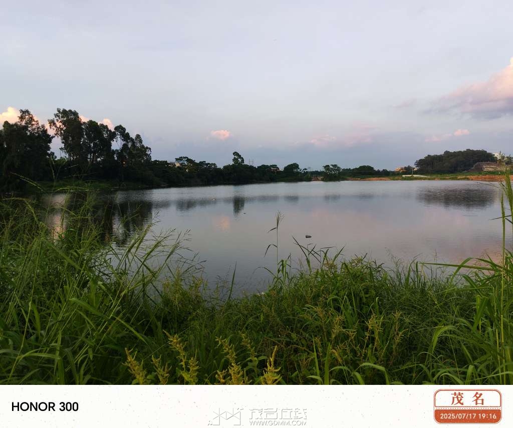 20250717192541front2_0_3341693_FrkWsMmbjqkcEm958bBv-A2JB1Qs.jpg