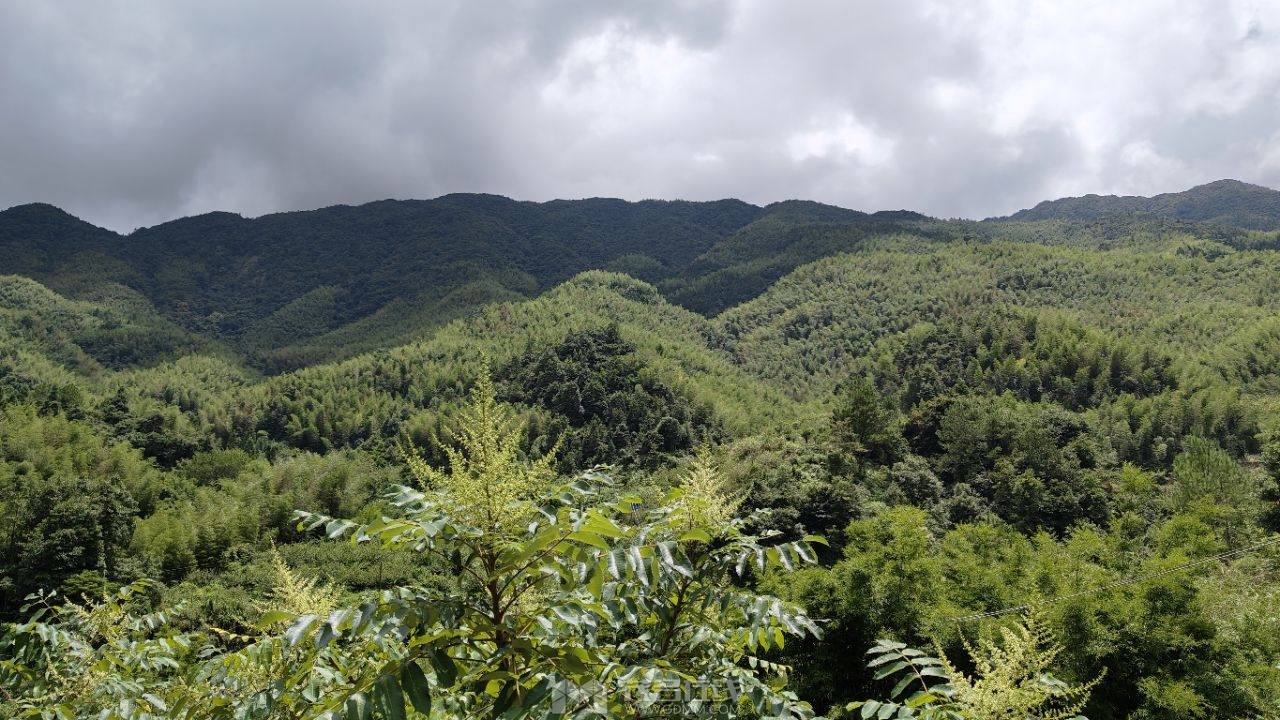 20250911084658front2_0_3256910_FsIYNc-RXEa87qkyUJIleH-mcNIz.jpg