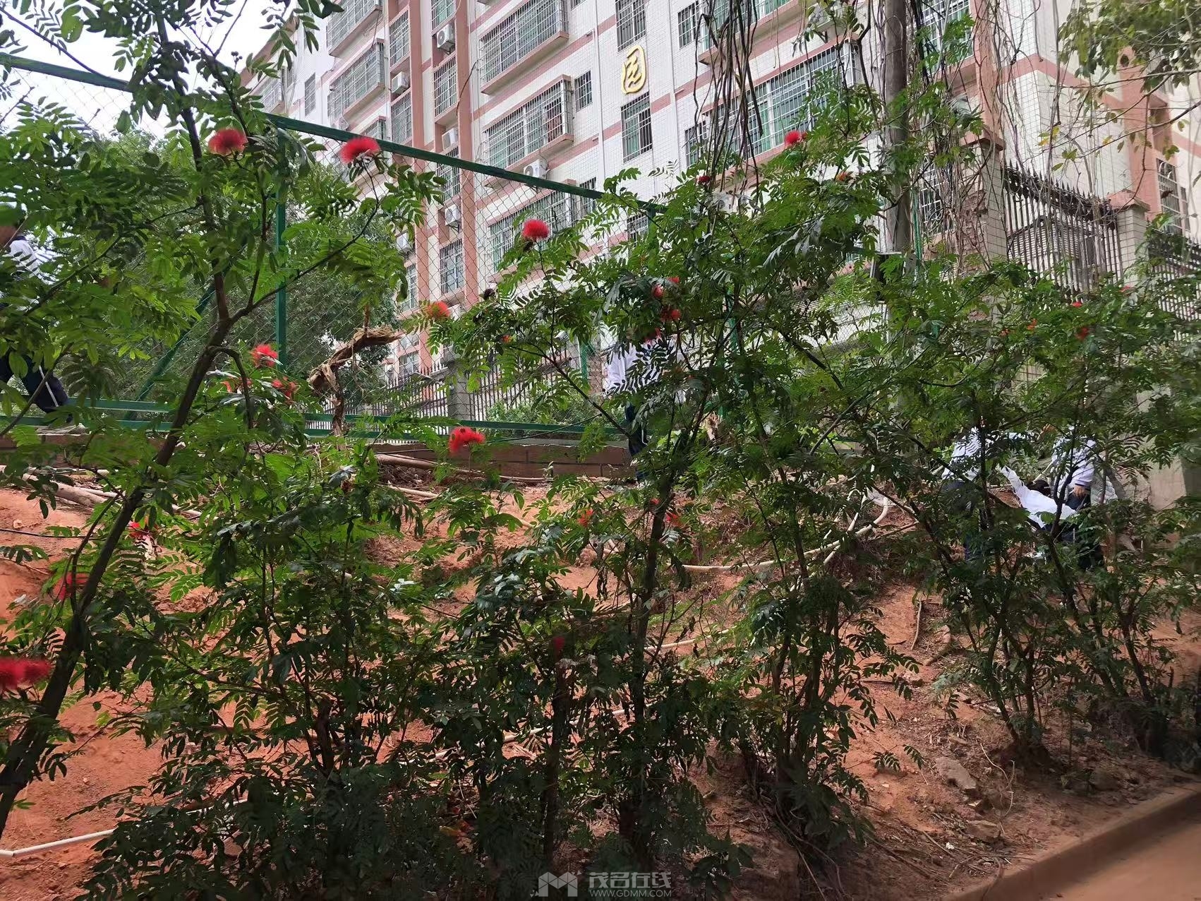 Сѧ������