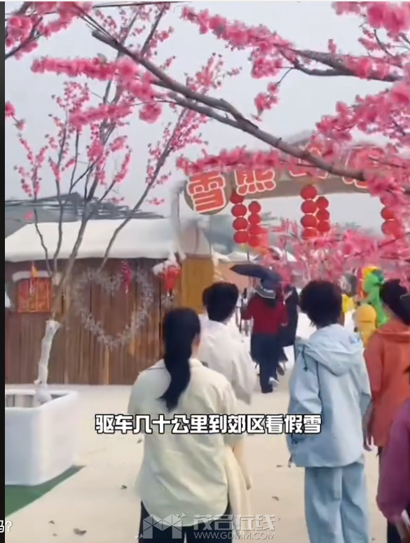 QQ20260303-075840.png