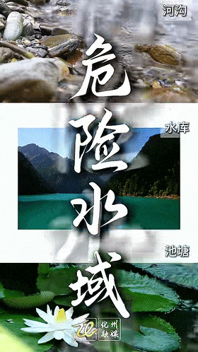 095936wtzook8l86kktfus.gif