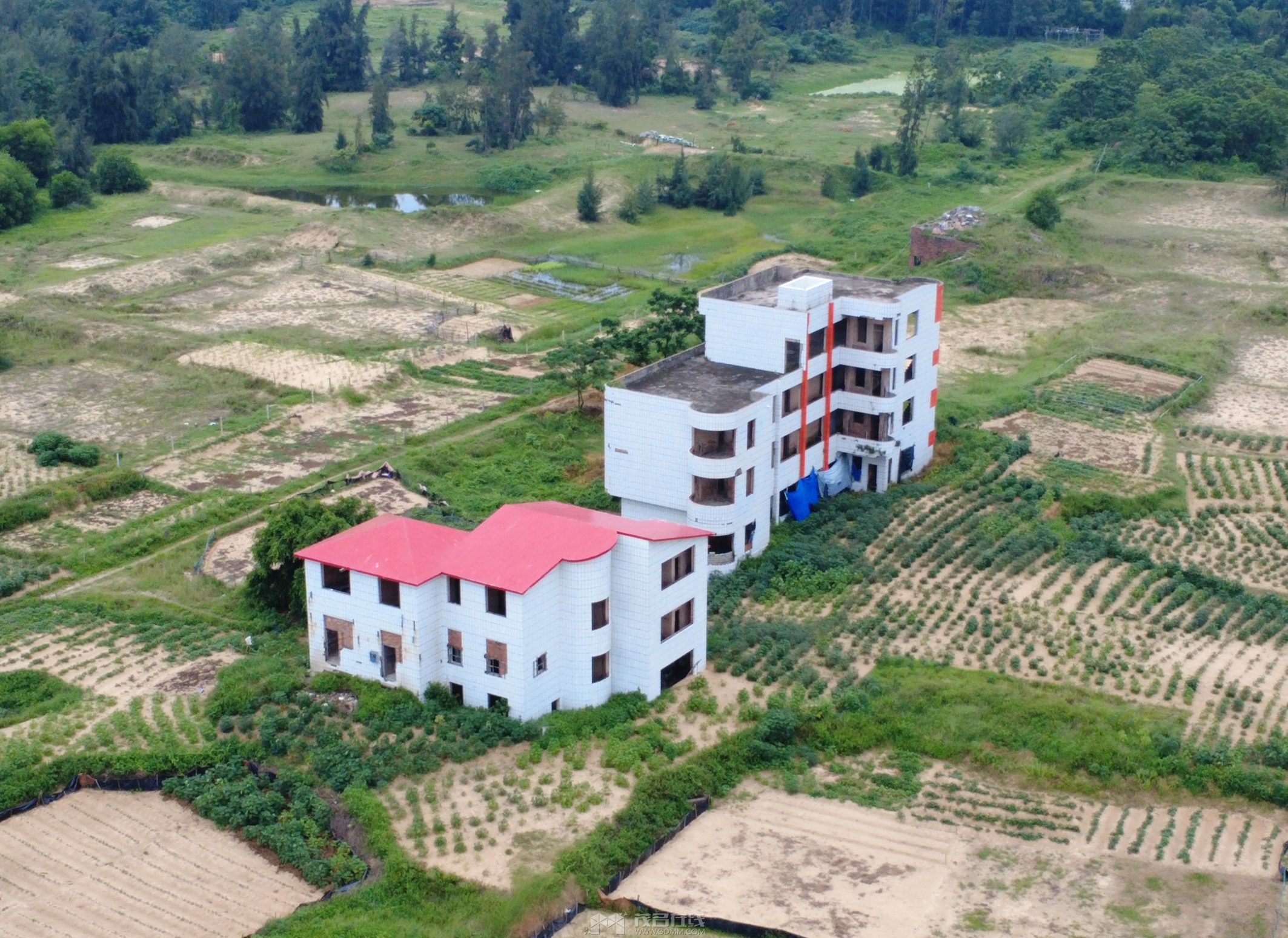DJI_0906.JPG