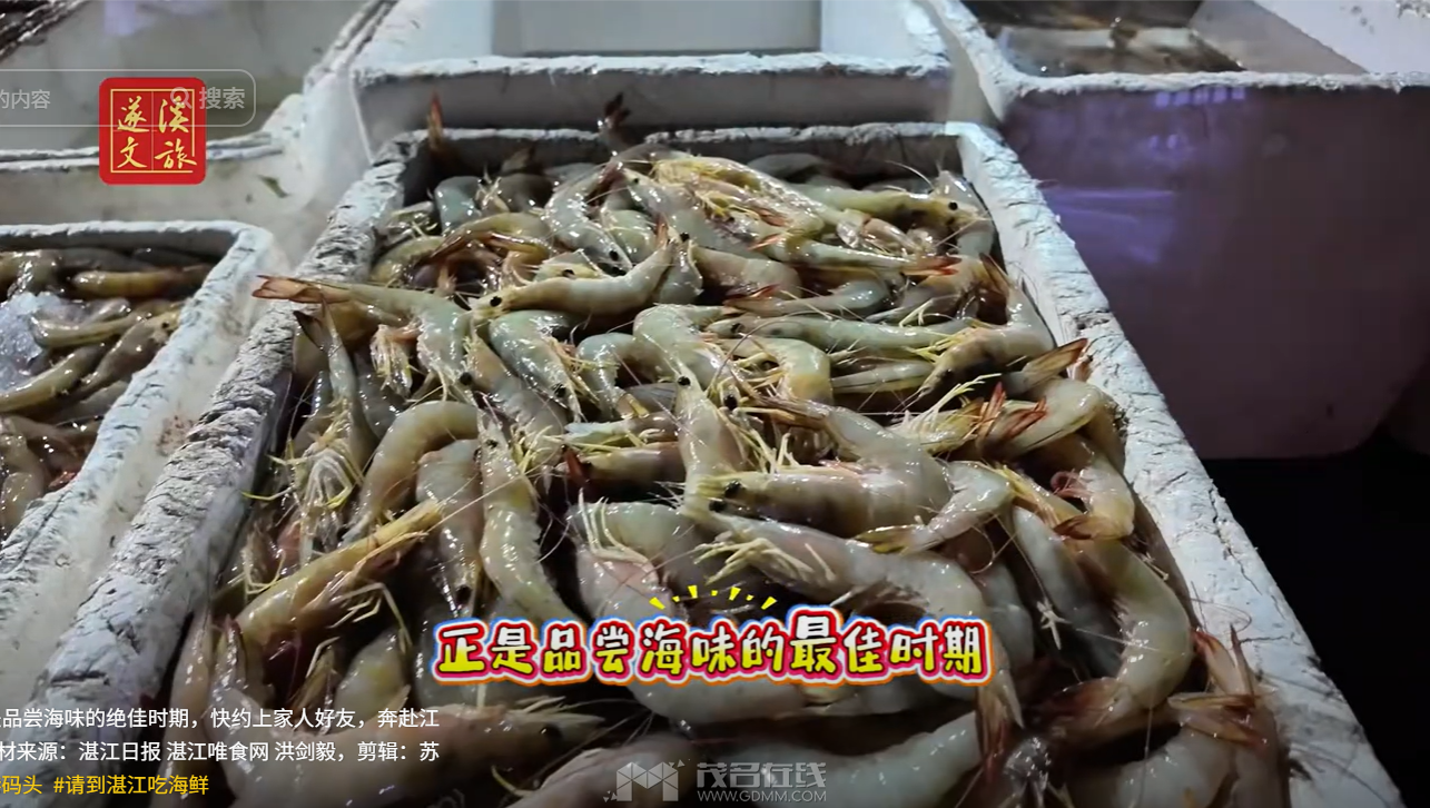 QQ20260813-190616.png