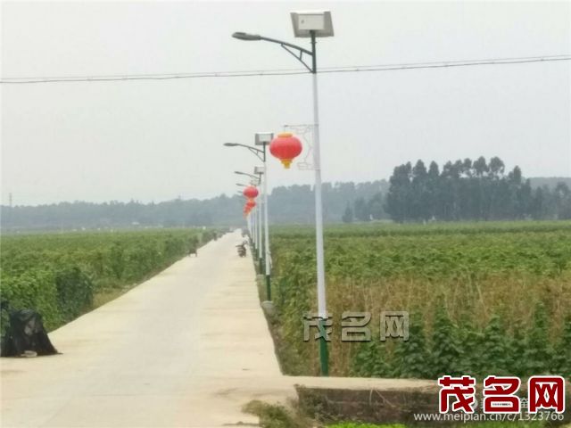 г๤鰵߽